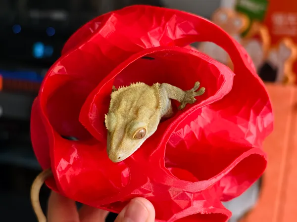 https://makerworld.bblmw.com/makerworld/model/USefead441cd5129/design/2025-11-14_4c464e88b9b4.jpg