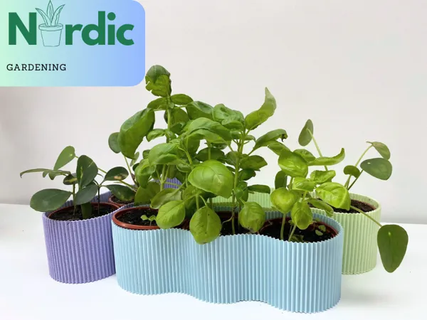 https://makerworld.bblmw.com/makerworld/model/USefec105a330604/design/2024-08-04_c76daa45609f6.png