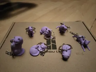 Assorted cat keyrings