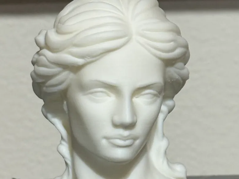 Lady Bust - 9