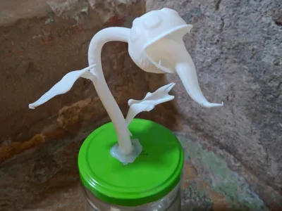Carnivorous fly trap