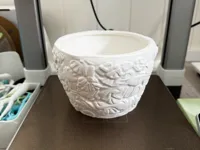 0.2mm layer, 2 walls, 6% infill