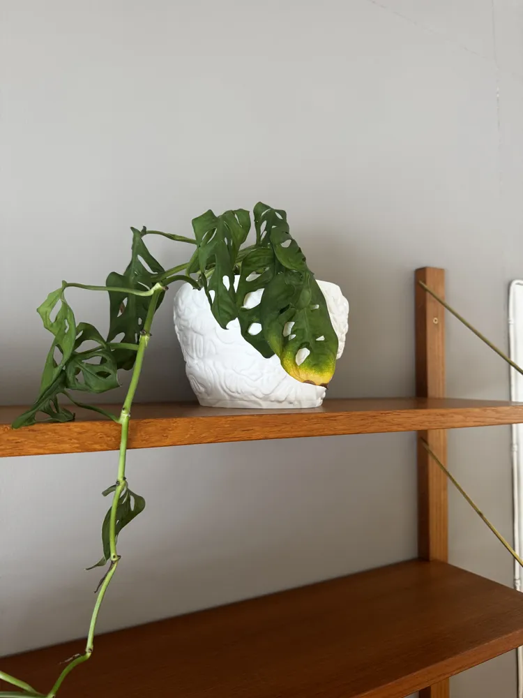 Floral flower pot - Medium size - Free 3D Print Model - MakerWorld