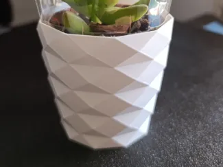 Mini vaso decorativo per pianta grassa 