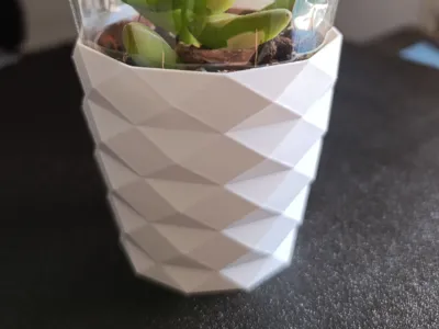 Mini decorative succulent pot 