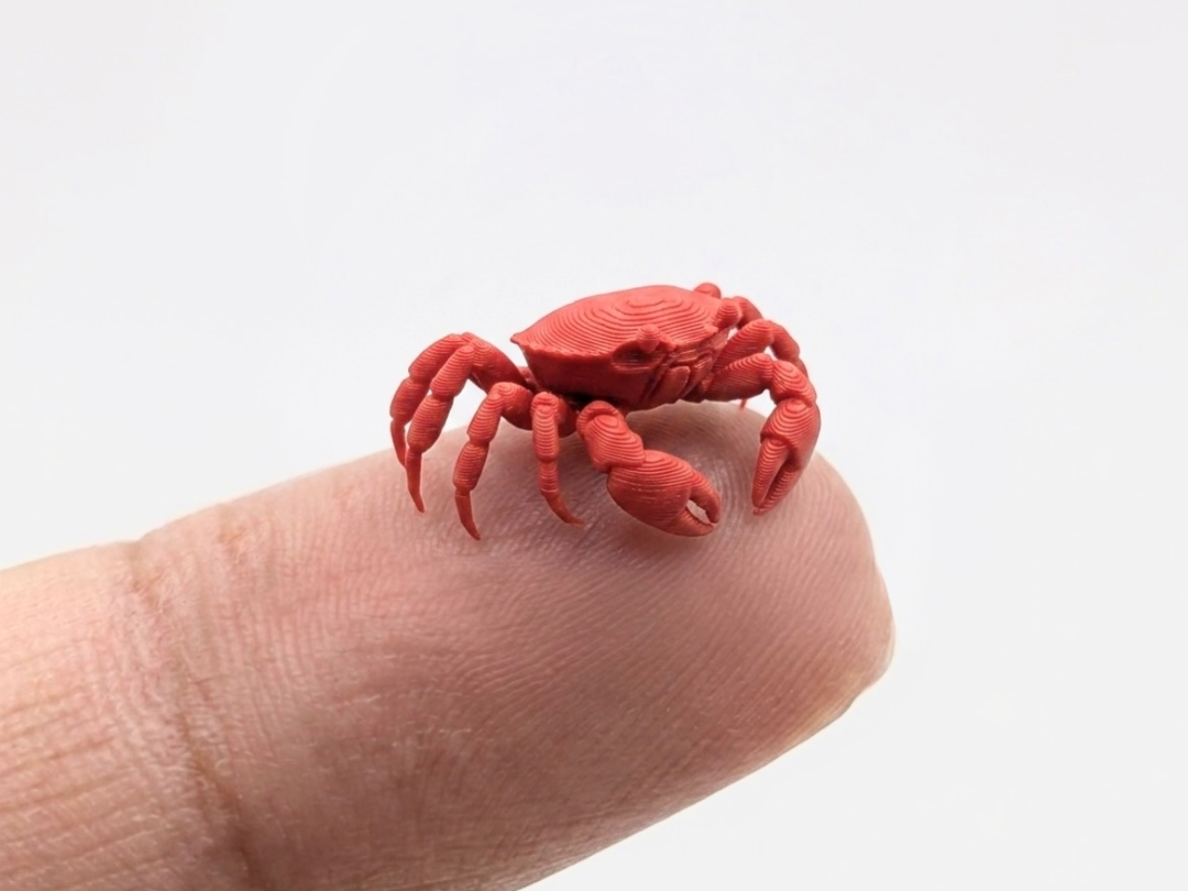 The smallest crab in the world (Nozzle 0.4) - 1