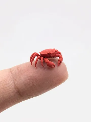 Accesorio para boquillas: The smallest crab in the world (Nozzle 0.4) — vista de referencia 2