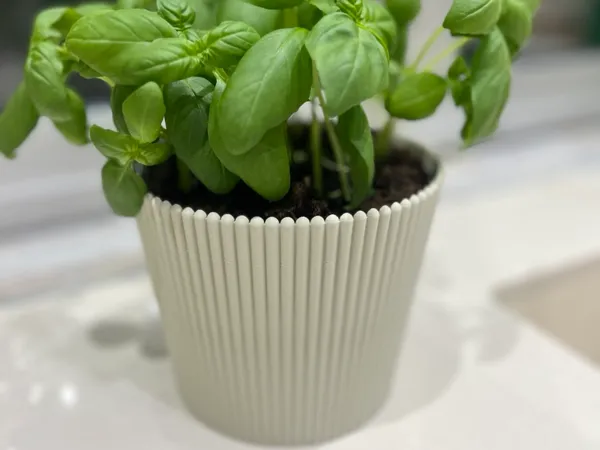 https://makerworld.bblmw.com/makerworld/model/USf0017709cf217c/design/2025-09-08_9c2a661b593eb.jpg
