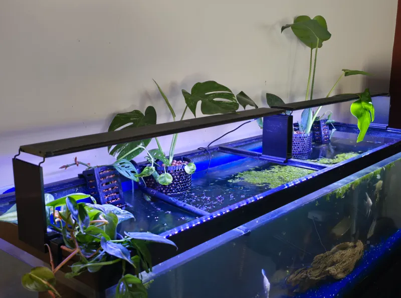 Aquarium Light Riser for Large Aquariums