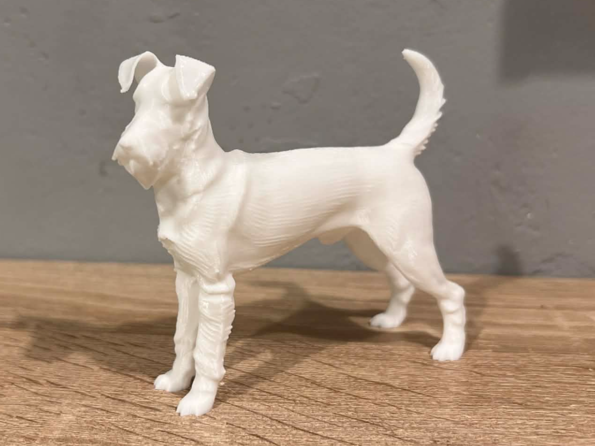 Irish Terrier - Dog - Animal