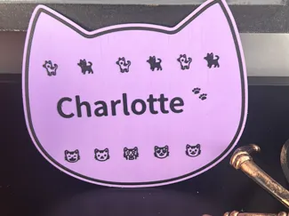 Kitty Kat Door Sign