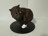 0.16mm layer, 3 walls, 10% infill