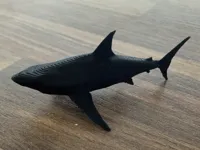 Requin fin de bobine — photo 2