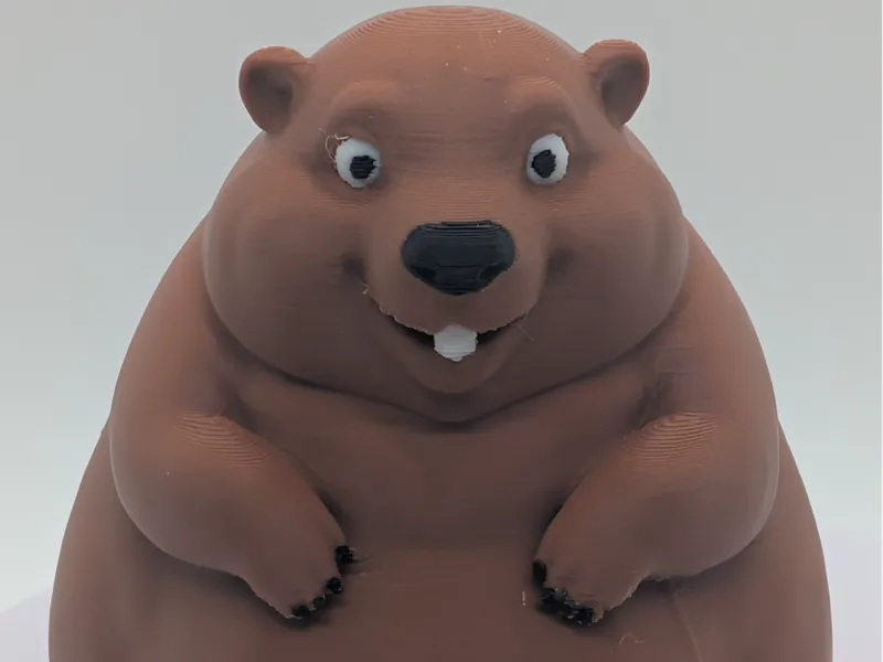 Chunky Groundhog