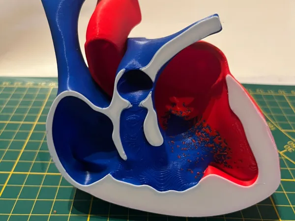 https://makerworld.bblmw.com/makerworld/model/USf01393960f690f/design/2025-08-11_20b3c4df58752.jpg