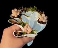 3.1_适配A1mini的小尺寸花瓶