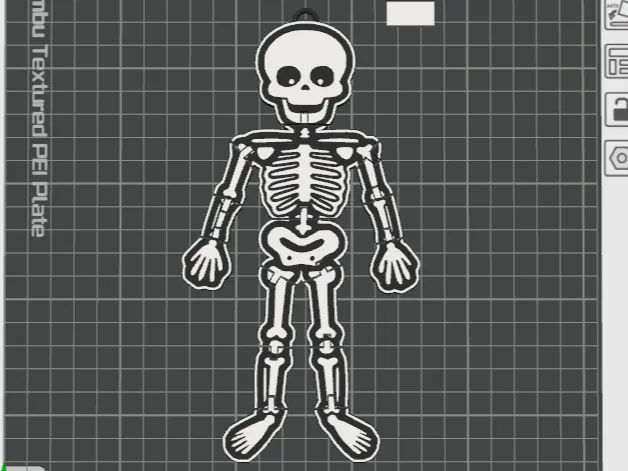 Flexi Skeleton