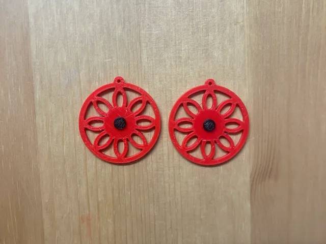 Earrings