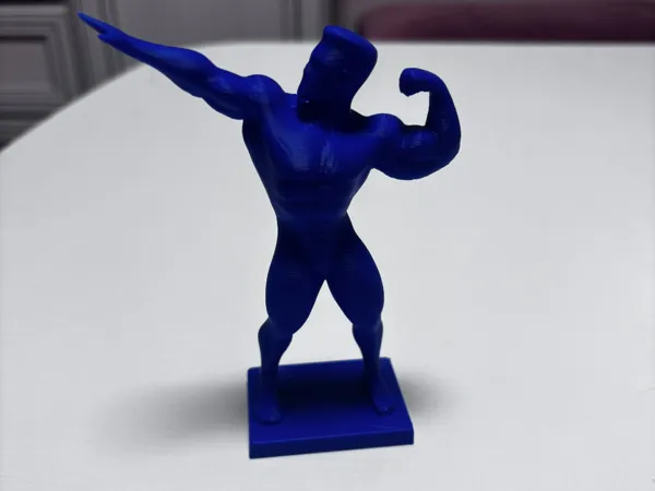 https://makerworld.bblmw.com/makerworld/model/USf01818038c3a66/design/2025-02-20_9d7bc12b2213b.jpg