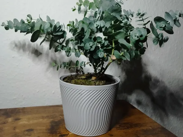 https://makerworld.bblmw.com/makerworld/model/USf018602026ecf6/design/2025-10-10_49030f173c9408.jpg