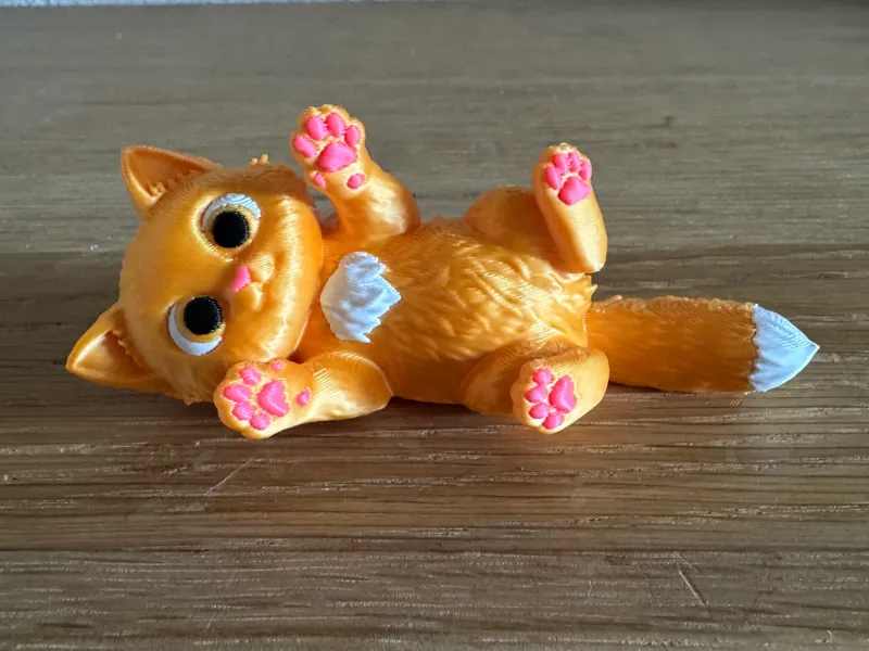 Mimi die kleine verspielte Katze