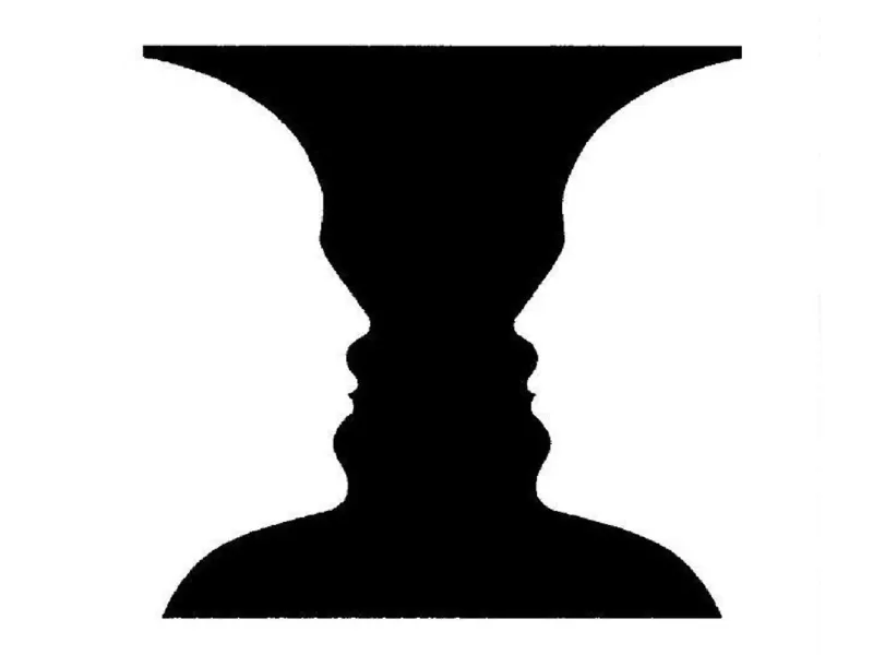 faces optical illation vase