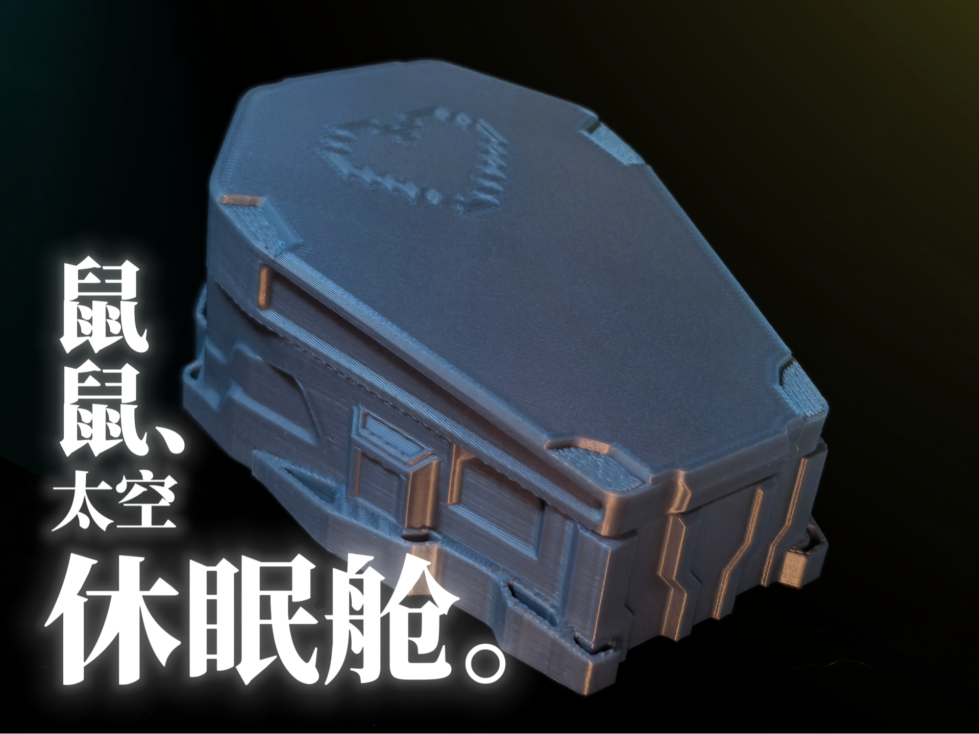 鼠鼠太空休眠仓