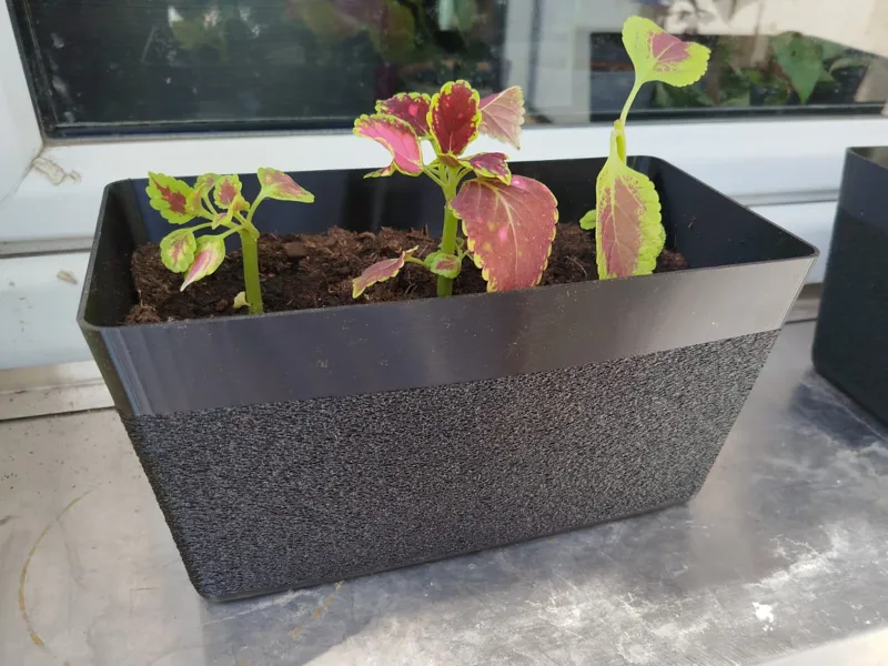 Flower Pot