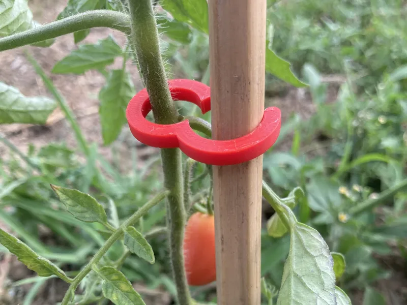 Tomato or plant clips