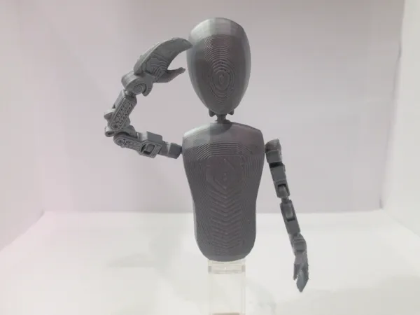 https://makerworld.bblmw.com/makerworld/model/USf02b4446e86566/design/a72fbe2f3f2b07fc.jpg