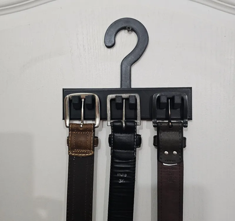 Belt organizer 