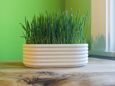 Long Plant Pot for Wheatgrass, Microgreens, & More