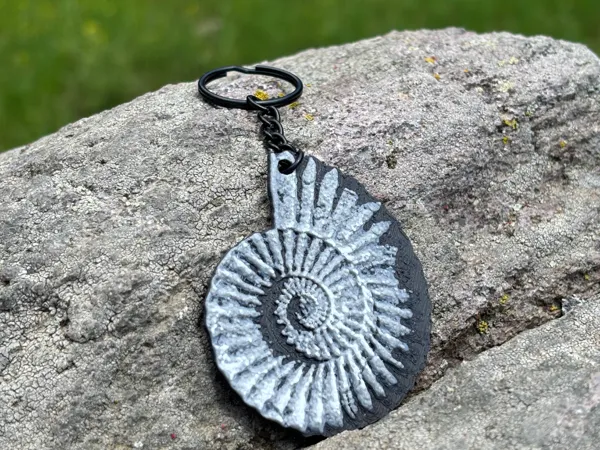 https://makerworld.bblmw.com/makerworld/model/USf0416bf084db1a/design/2026-01-17_e0b558dad73018.jpeg