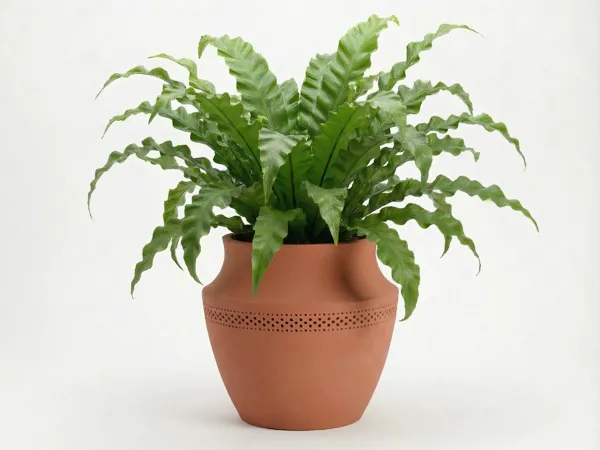 https://makerworld.bblmw.com/makerworld/model/USf0446331e2f130/design/2025-12-13_3820a0355b3cc.png