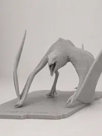 0.16mm Mutadon Model