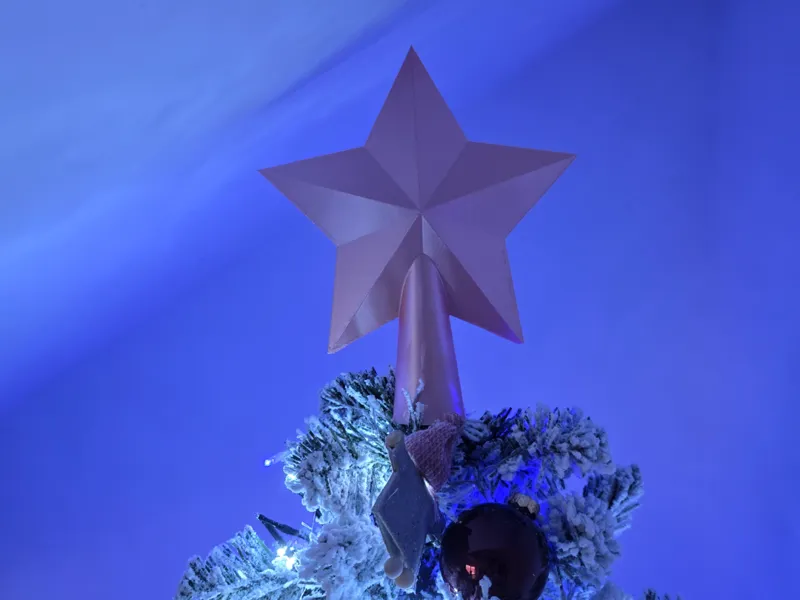Christmas star