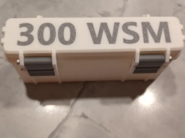 https://makerworld.bblmw.com/makerworld/model/USf049f582de9bfd/design/2025-03-28_6181e47559417.jpg
