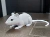 0.16mm layer, 3 walls, 10% infill