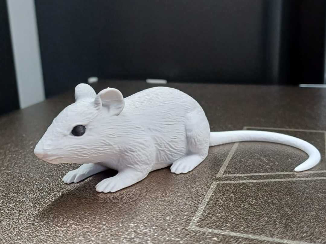 Sneaky Little Mouse