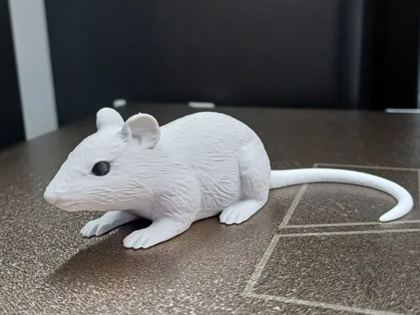 https://makerworld.bblmw.com/makerworld/model/USf04d70e13bb8cb/design/62afa0a80e3ab7a9.jpg