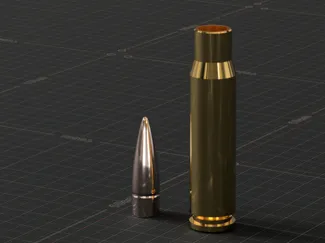 308 Winchester Casing and Bullet