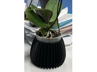 Vaso per orchidee