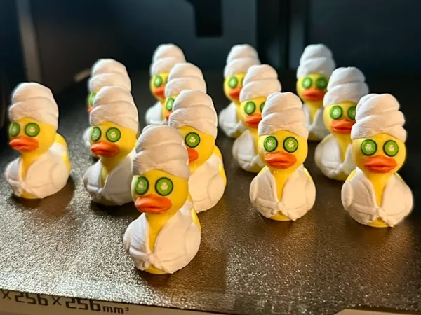 https://makerworld.bblmw.com/makerworld/model/USf054c5cd04978f/design/2025-03-10_eb60863ff709e.jpeg