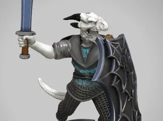 Dragonborn Paladin