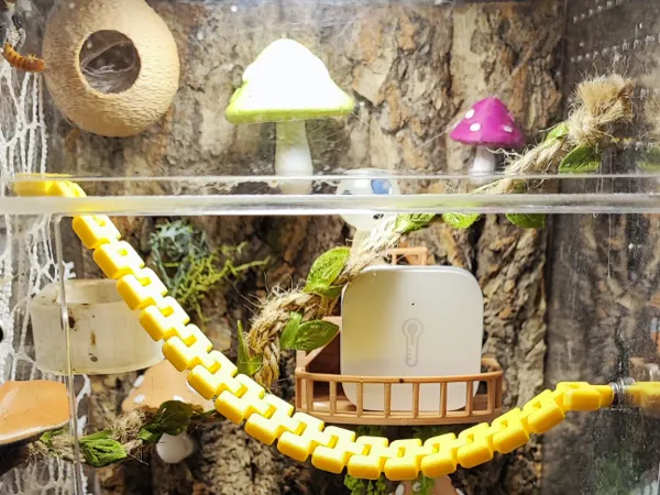 https://makerworld.bblmw.com/makerworld/model/USf0565db055532d/design/2026-01-16_cda56efadb1c3.jpg