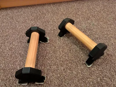 Parallettes Calisthenics 