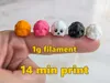 1 Mini Lamb