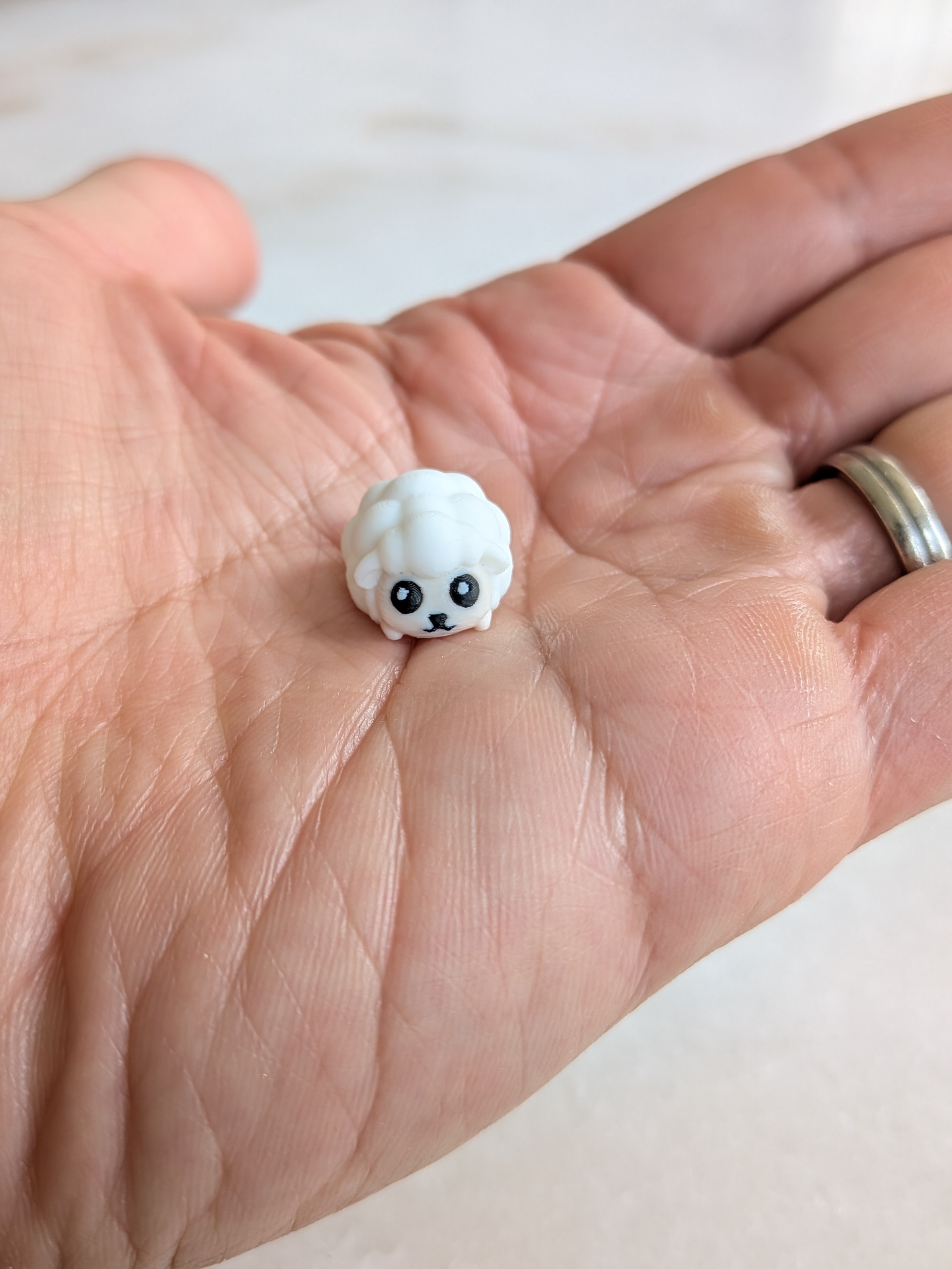 Miniatura 3 do modelo 3D Small Tiny Mini Micro Lamb