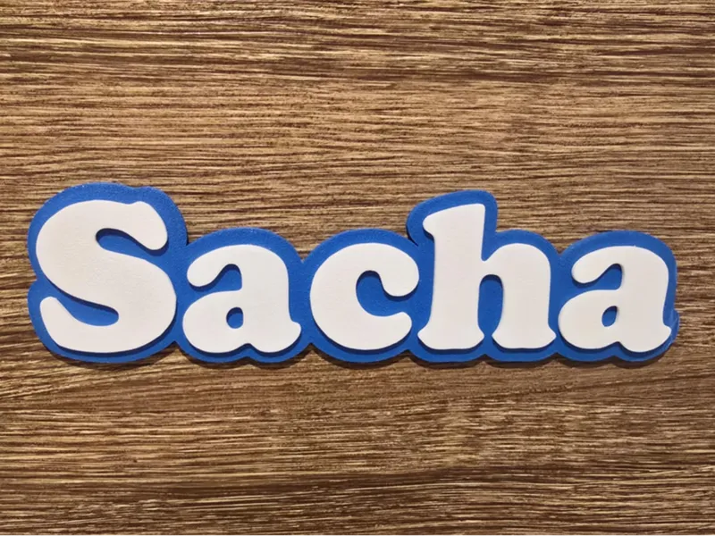 Prénom Sacha porte