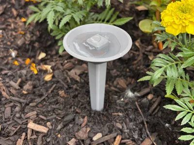 Bee Cups (Zero Support, Zero Assembly)